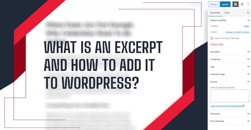 What is An Excerpt and How to Add Excerpt to WordPress Page and Post?