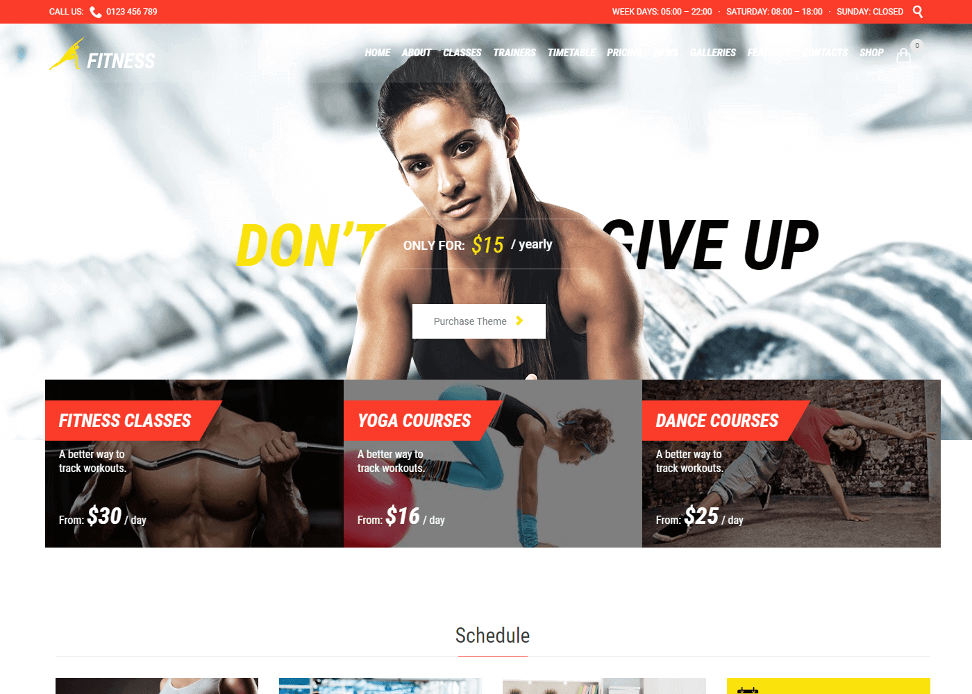 10+ Best WordPress Gym and Fitness Themes for 2022 - HashThemes